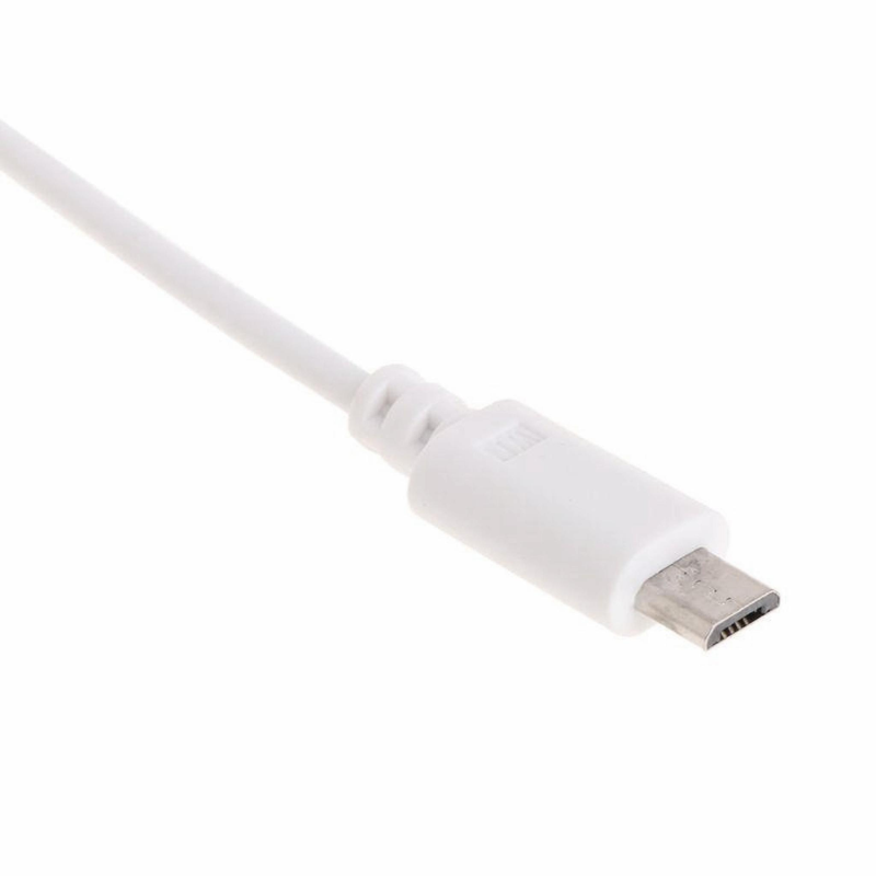 Cargador con Cable 1A (V8)