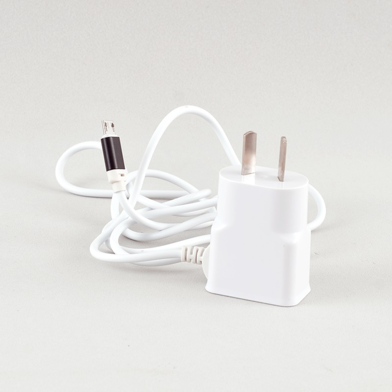 Cargador con Cable 1A (V8)